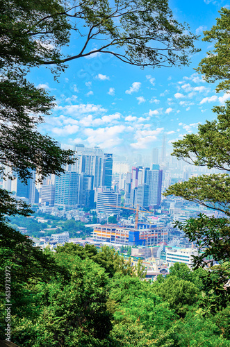 Canvas Print From the namsan mountain you can see an aerial view of the city of Seoul, South