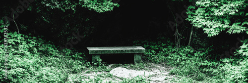 Podobny obraz