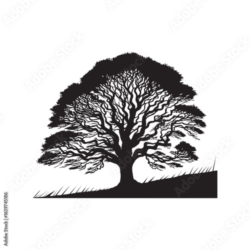 Black Ash Tree Silhouette Vector on White Background.