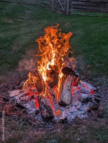 fire in the forest