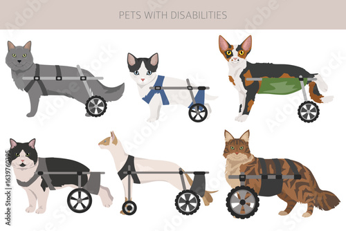 Disabled animals clipart. Injured cats in a wheelchairs. Cats with a disabilities. Vector illlustration