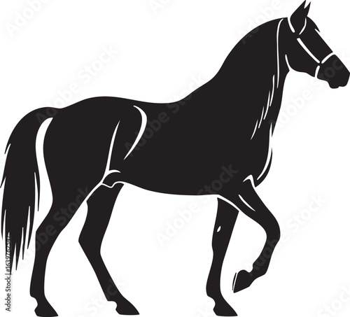 Elegant black horse silhouette in motion