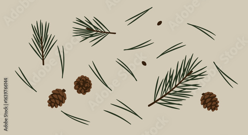 Nature's serenity pine cones and needles on simple background botanical illustration calm environment top-down view. Vector illustration
