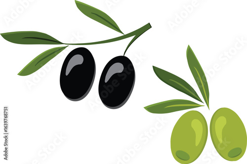 Vibrant illustration of ripe black and green olives on branches with leaves, isolated on white background.