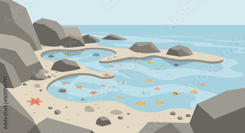 Rocky tide pool adventure coastal beach digital illustration serene environment aerial view nature exploration. Vector illustration