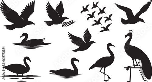Feathered Friends A Black and White Vector Illustration of Birds and Swans on Clear