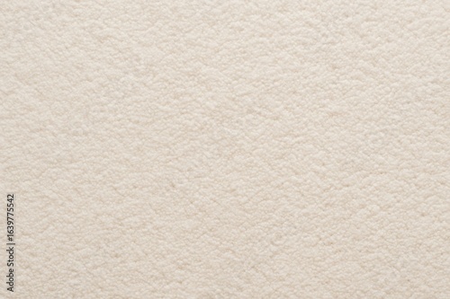 Wallpaper Mural Close up view of a pristine white carpet texture, providing a soft and cozy backdrop for various design concepts Torontodigital.ca