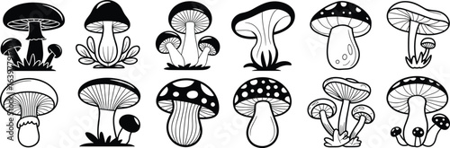 Mushroom species black and white vector set, stylized fungi illustration, cartoon mushroom shapes, botanical drawing, educational clipart, isolated