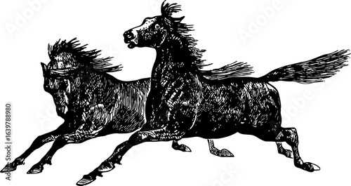 abstract design of American wild west desert with cowboys - hand drawn Black illustration. Ilustraciones del viejo oeste. PNG.JPG. VEKTOR