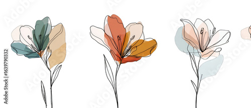Abstract floral design.  Four stylized flowers in muted colors, featuring soft lines and shapes, set against a black background
