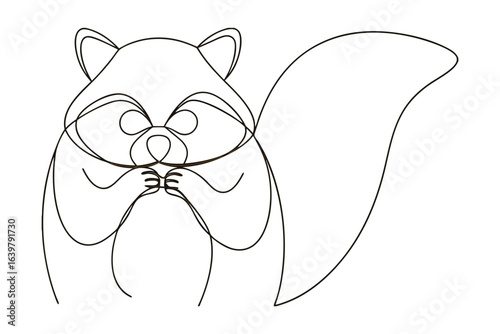 Minimalist single line drawing a raccoon with a large bushy tail animal wildlife