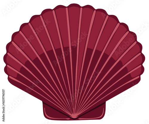 Detailed vector graphic of a scalloped seashell with textured linear designs in maroon tones