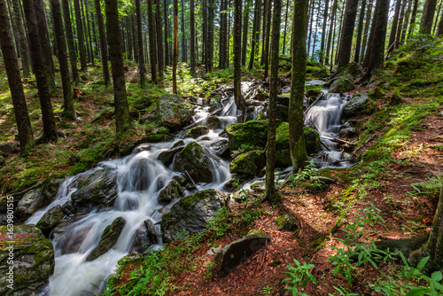 Bachkaskade im Wald
