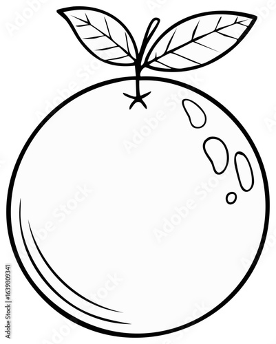Simple Orange Fruit Illustration Outline with Leaves and Stem for Coloring Book Art