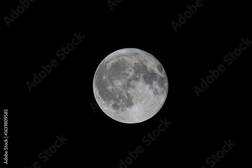 full moon in the night