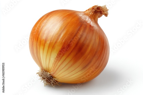 Wallpaper Mural Single onion, whole, light brown Torontodigital.ca