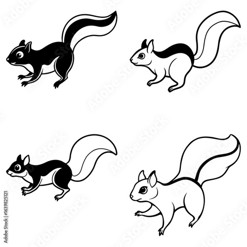 Four outlined squirrels with bushy tails in black and white on a light background design element