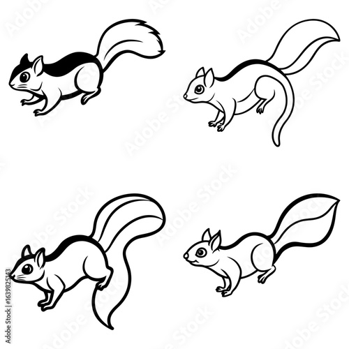 Four squirrels in various poses with bushy tails and outlined bodies on a white background are shown here