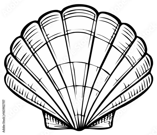 Scallop Seashell Black Outline Vector Illustration Sea Shell Coast Beach Nautical Graphic Ocean Summer Design