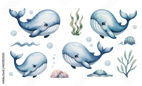 Watercolor baby whale set with ocean elements. Cute marine animal set with baby whales and underwater elements.
