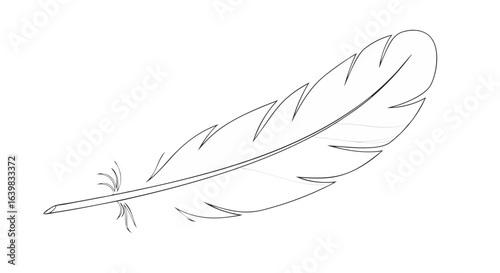 Minimalistic Line Drawing of a Feather in Black and White Artistic Style with Elegant Fine Lines and Simple Design for Creative Projects and
