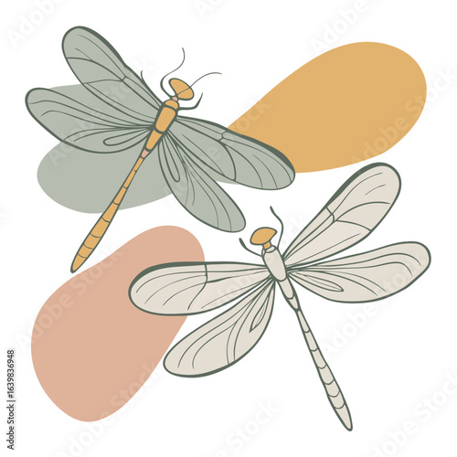 Two stylized dragonflies with abstract shapes on a black background