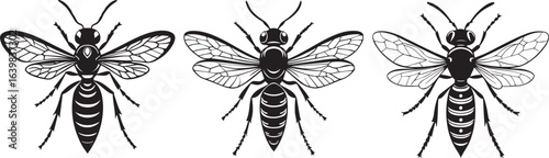 Simple wasp silhouette with white background vector design