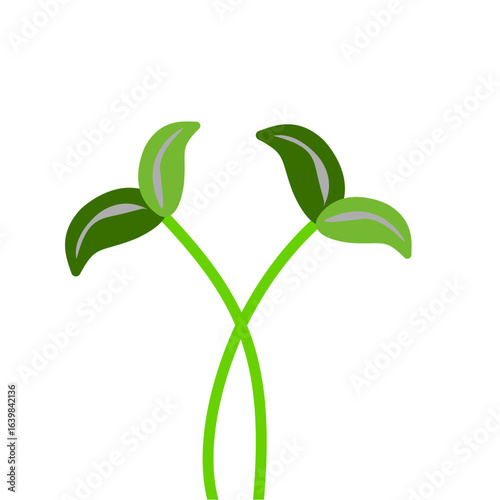 Micro Plants