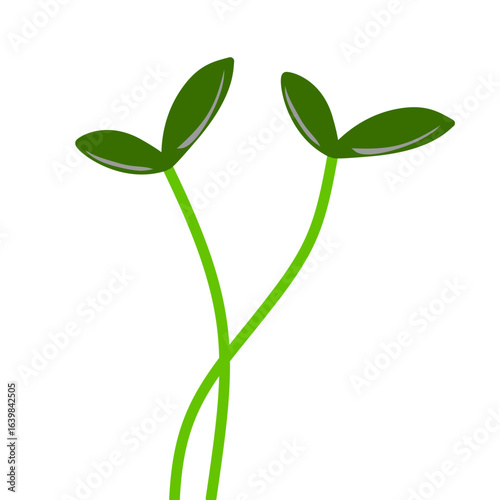 Micro Plants