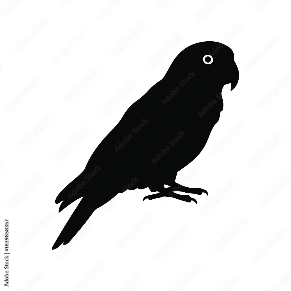 Fototapeta premium A detailed black silhouette of a parrot perched silhouette