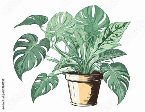 Plant Beautiful color Vecor, Natural Plant with white backgrund