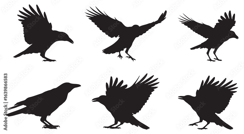 Obraz premium Black Crow Silhouettes Flying and Perched Vector Set - Raven Bird Clipart