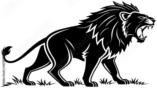 Silhouette of a roaring lion walking through grass with a detailed mane and sharp teeth shown