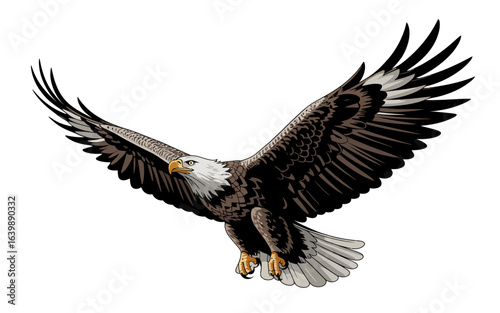 Majestic eagle soaring with wings spread wide bird flight