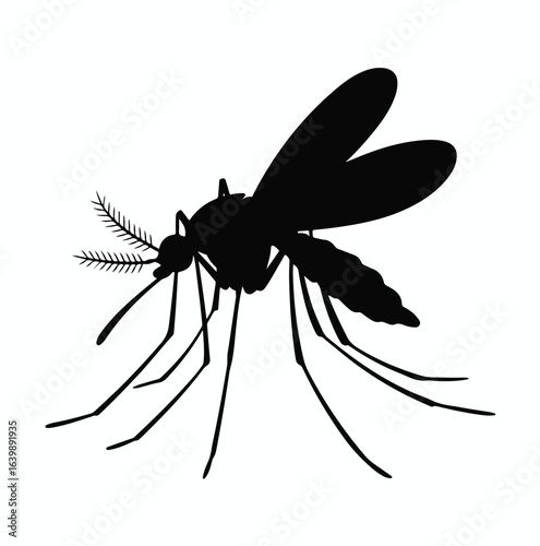 Isolated insect vector illustration, a black silhouette of a mosquito
