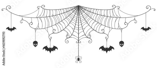 spider web on white vector eps