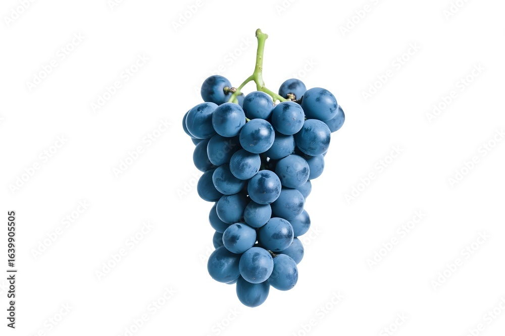 Fototapeta premium blue grapes isolated on white background