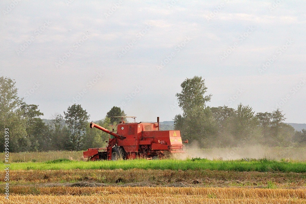 Obraz premium a farmer working in the field, an old combine harvester, mowing grain