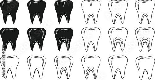 Tooth icon vector set, black and outline silhouettes, dental anatomy illustrations, molars and incisors, CAD drawing flat illustration