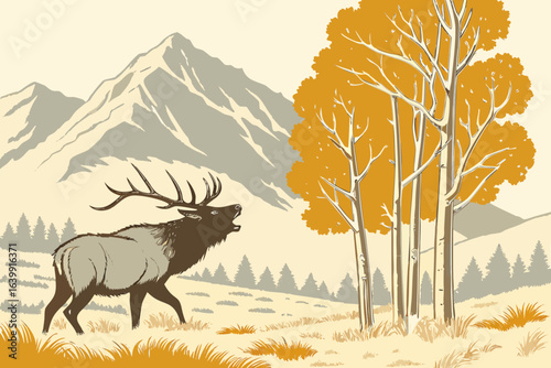 A bull elk bugling in a frosty meadow in Colorado’s Rocky Mountains as golden aspens frame the background.