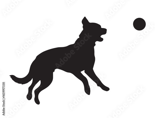 Dog playing in silhouette on white background