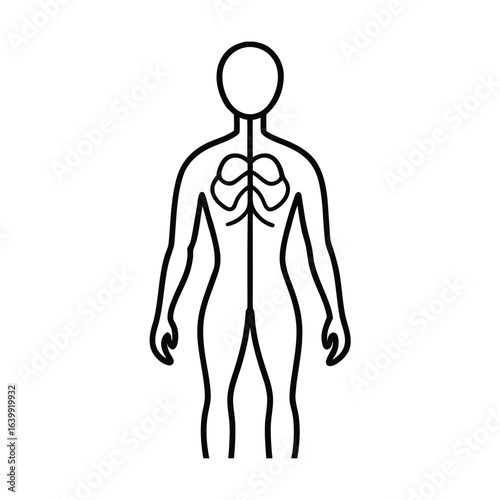 nervous system outline over human figure Illustration showing with the