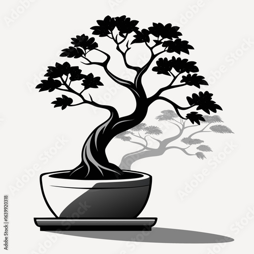 bonsai tree isolated on white