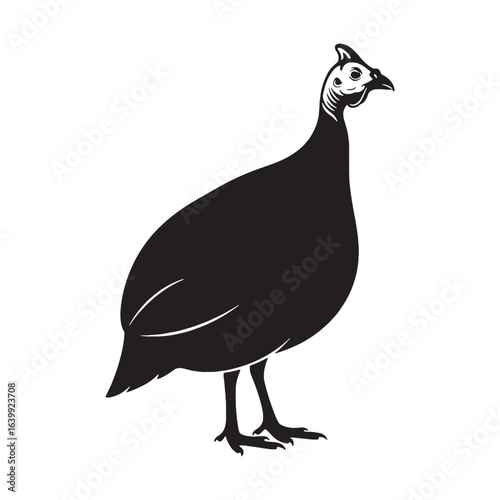 Sleek Guinea Fowl Silhouette – Guinea Fowl Vector Design for Modern Graphic Projects – Black Vector of Guinea Fowl

