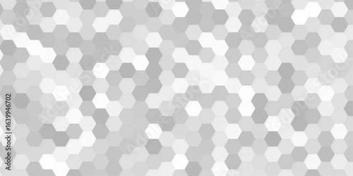 Honeycomb pattern with hexagon mesh texture bee comb grid. Line grid of hexagons black and white seamless pattern.