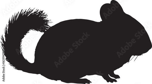 Silhouette of a chinchilla pet animal rodent with fluffy tail against white background studio shot perfect for logo design or print media projects