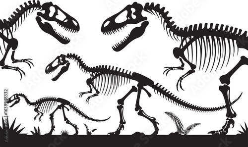 Prehistoric tyrannosaurus rex dinosaur skeleton illustration on a white background with a museum vibe
