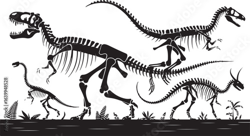Prehistoric Tyrannosaurus rex skeleton or vector illustration of a carnivore beast