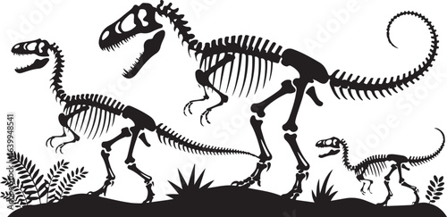 Isolated prehistoric tyrannosaurus rex dinosaur skeleton illustration