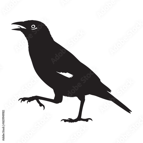 Clean-Line Mynah Silhouette – Mynah Bird Vector Graphic for Modern Design – Black Vector of Mynah

